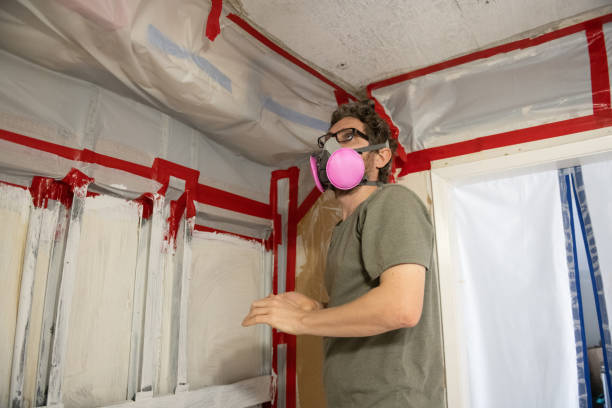 Mold Removal for HVAC Installations in Indian Mountain Lake, PA