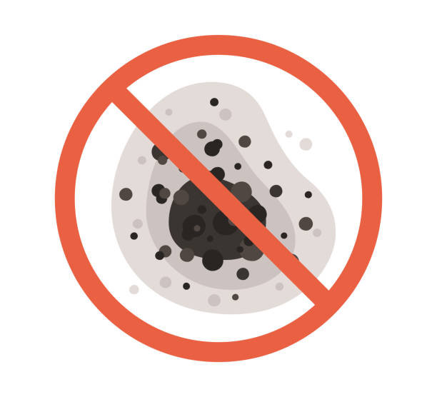 Best Mold-Related Health Consultation  in Indian Mountain Lake, PA