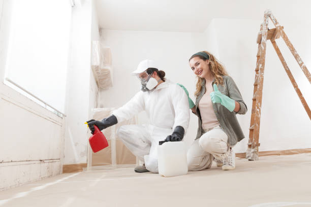 Best Indoor Air Quality Assessment  in Indian Mountain Lake, PA